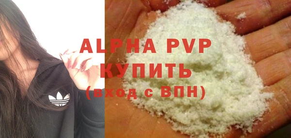 spice Богородицк