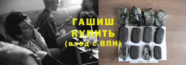 spice Богородицк