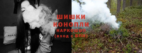 spice Богородицк