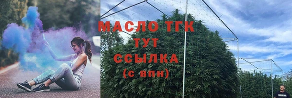 spice Богородицк