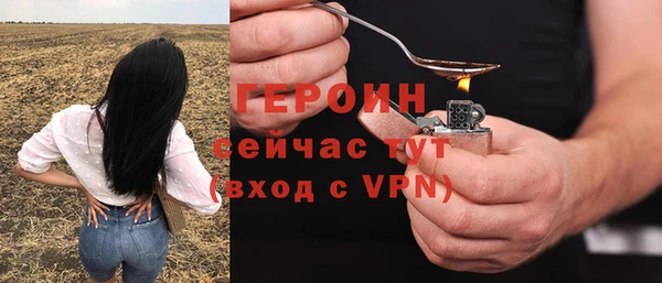 spice Богородицк