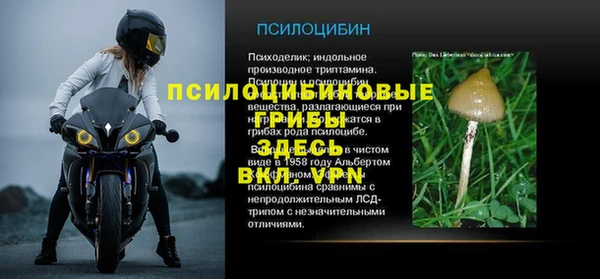 марки nbome Богданович